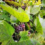 빌라 Sielsko I Zacisznie