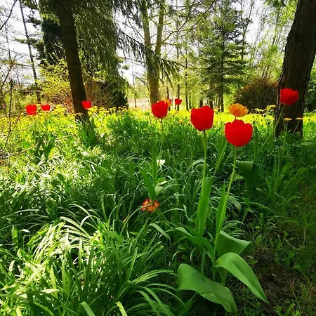 Вилла Sielsko I Zacisznie *