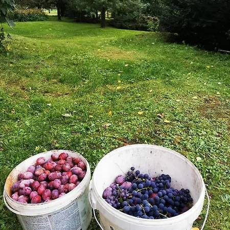 Sielsko I Zacisznie Вилла *