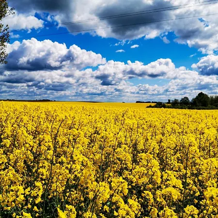 Sielsko I Zacisznie * Элк