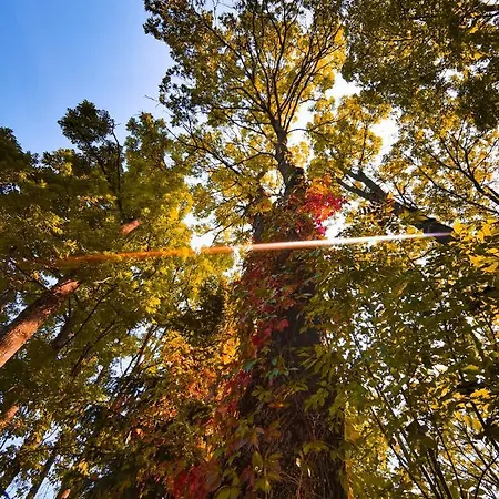 Sielsko I Zacisznie * Элк