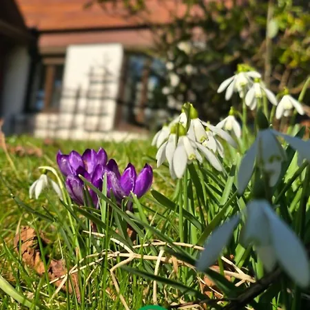 Sielsko I Zacisznie