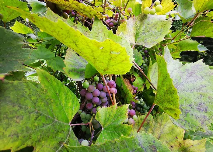 Villa Sielsko I Zacisznie