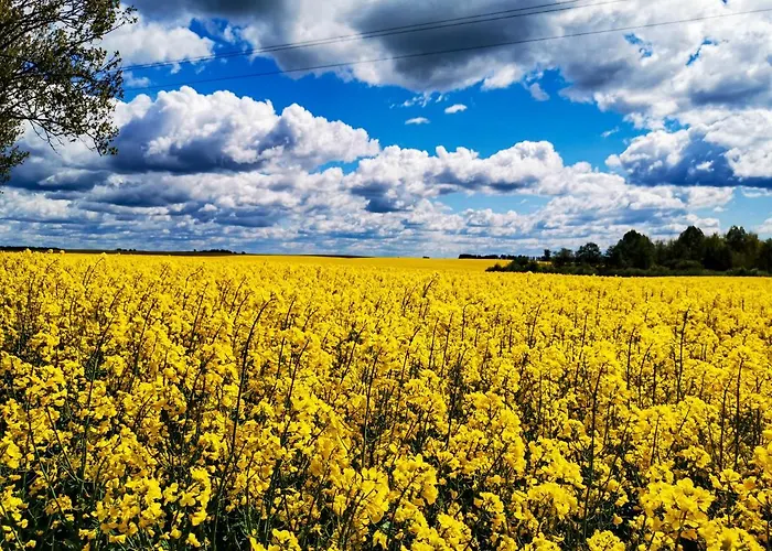 Sielsko I Zacisznie * Ełk